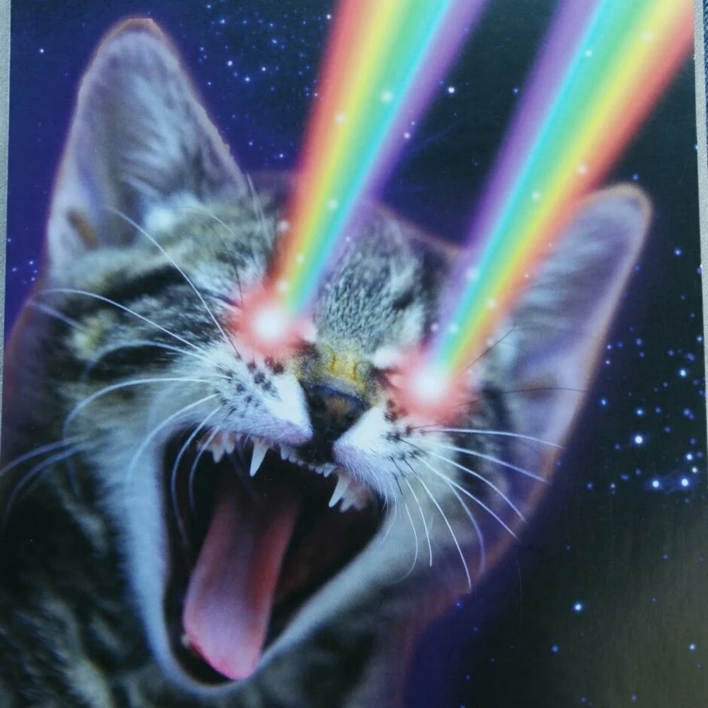 Meet your Posher, Shari